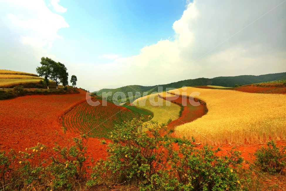 nature,자연,outdoors,옥외,landscape,경치,plateau,고원,scenery,풍경,hill,언덕,field,들,중국,운남성,홍토지,운남홍토지,비경,패턴,자연,풍경,nature,landscape,해외,외국,세계,foreign,oversea,world,세계자연풍경,해외자연풍경,외국자연풍경,world nature landscape