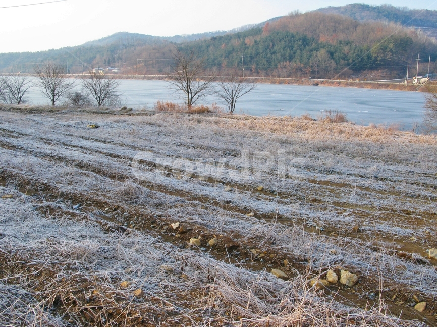 겨울,감성,밭,겨울밭,밭두렁,겨울,계절,winter,season,자연,풍경,nature,landscape,outdoors,옥외