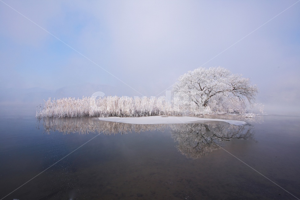 강변상고대,상고대,강변,강변설경,겨울,nature,자연,outdoors,옥외,ice,얼음,겨울,계절,winter,season,자연,풍경,nature,landscape
