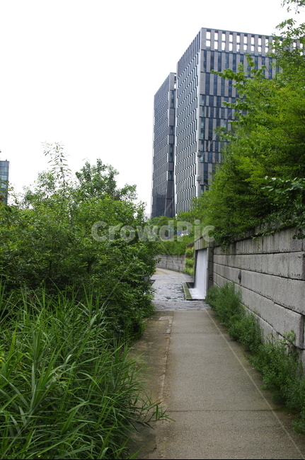 초록,나무,식물,plant,자연,nature,청계천,빌딩,자연,풍경,nature,landscape,outdoors,옥외,flagstone,판석