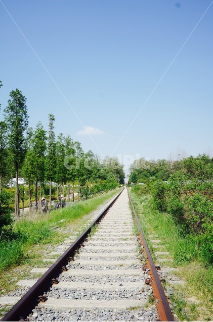 항동철길,철길,기차,기찻길,자연,하늘,rail,교통,교통수단,traffic,transportation