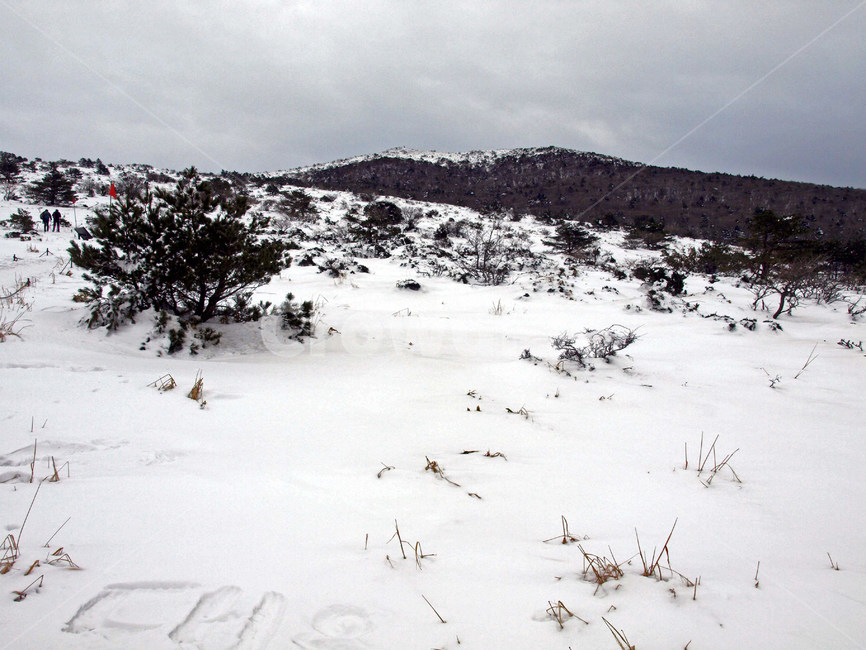 어리목,제주도,한라산,설경,겨울산,눈,등산,설화,설목,겨울,계절,winter,season,자연,풍경,nature,landscape,outdoors,옥외