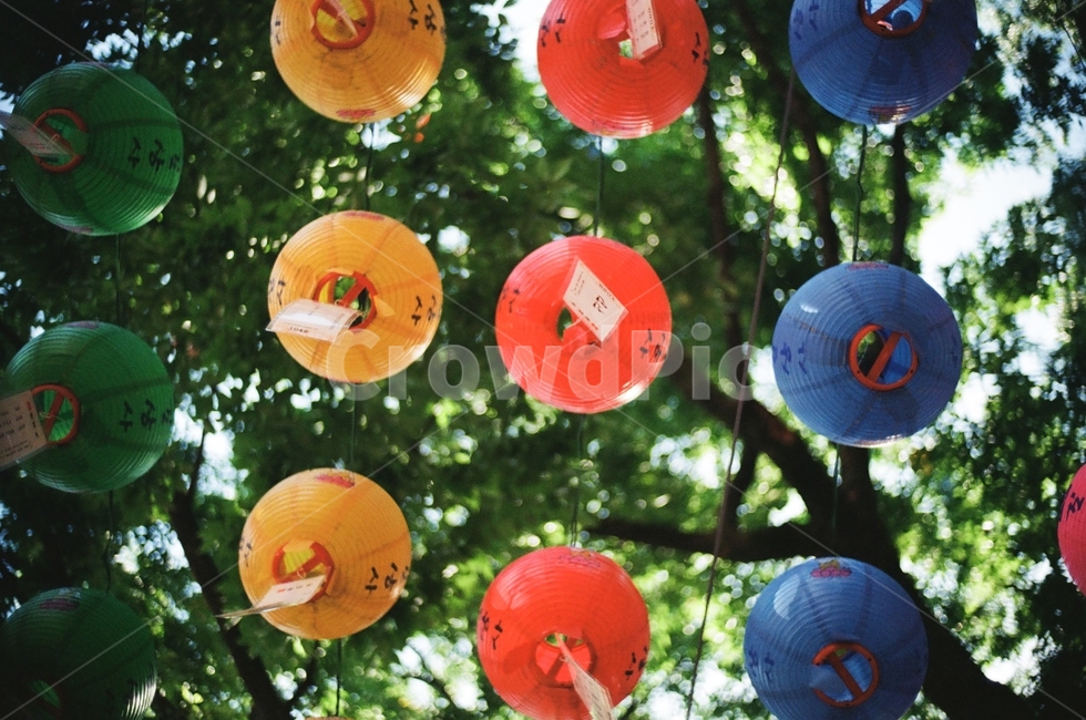 필름,절,사원,연등,여름,감성,종교,신앙,religion,belief,faith