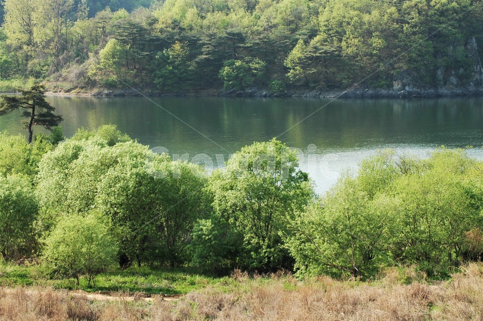 봄,봄풍경,자연풍경,한국풍경,경치,괴산호봄풍경,괴산호,자연,풍경,nature,landscape,한국자연풍경,한국자연경관,korea nature landscape,water,물,outdoors,옥외