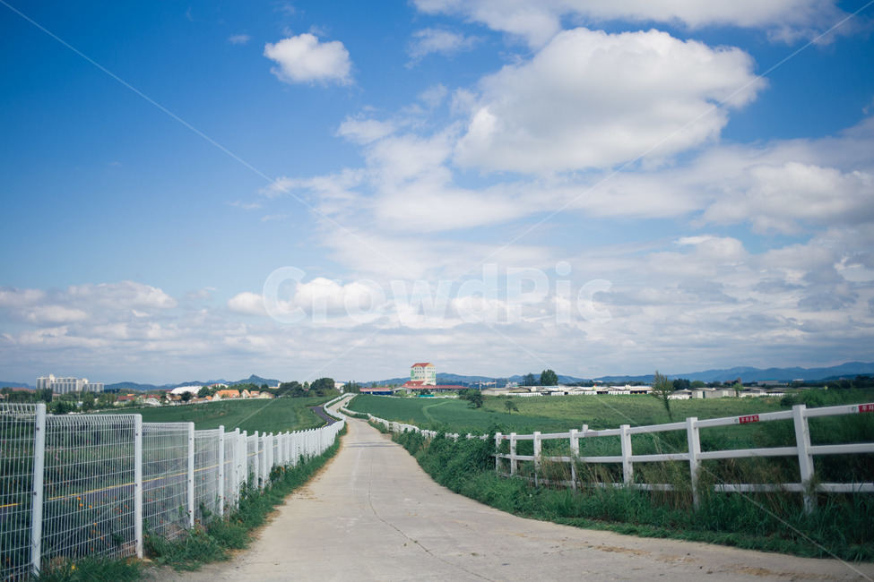하늘,구름,안성,목장,도로,자연,풍경,nature,landscape