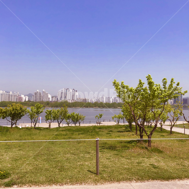 tree,나무,plant,식물,자연,nature,grass,잔디,강,river