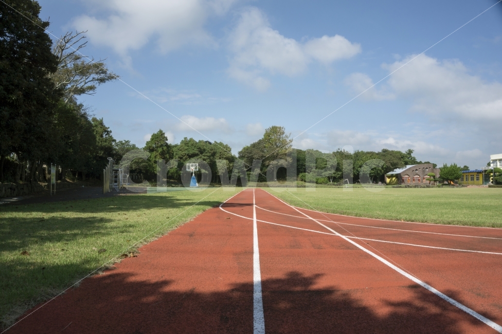 운동장,초등학교,잔디,트랙,풍경,제주,농구골대,나무,야외,소녀,교육,사람들,활동,여름,배경,유치원,소년,바깥,레저,작은,연주,귀여운,장비,아이,스포츠,장난감,기쁨,화려한,행복,녹색,컬러,운동,라이프,스타일,사람,쾌활한,흰색,옥외,푸른,슬라이드,스윙,청소년,스포츠,레저,운동,sports,leisure,exercise,교육,학교,공부,education,learning,study,school