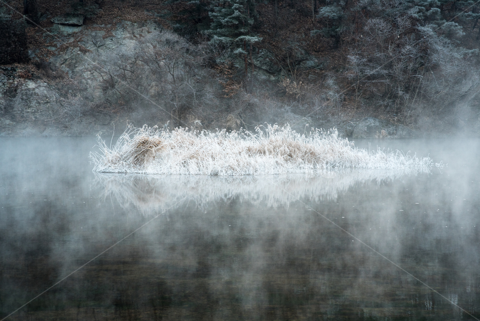 상고대,전북진안,용담댐,겨울풍경,겨울,자연현상,겨울왕국,겨울,계절,winter,season,자연,풍경,nature,landscape,outdoors,옥외,weather,날씨