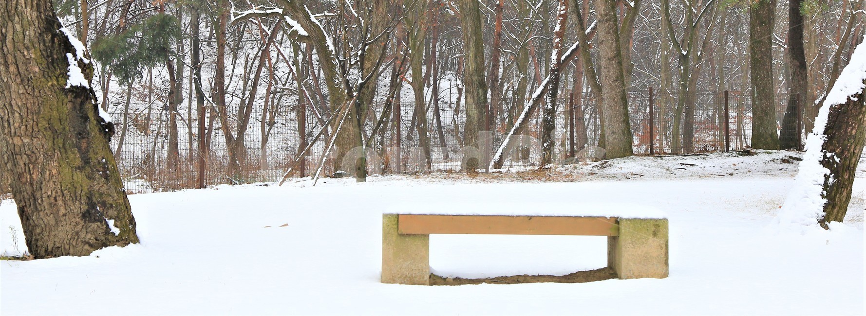 bench,가구,벤치,furnture,눈,겨울,계절,winter,season