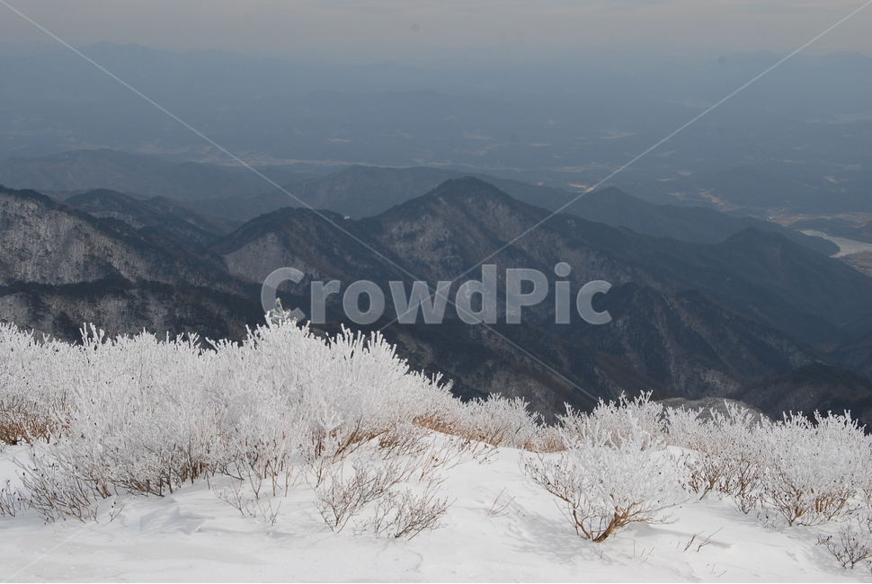소백산,설경,한국산의아름다움,비로봉,눈꽃나무,자연의위대함,등산로,능선,아름다움,신비스런산,돌,산행,힐링,자연,감성,등산,계절,여행,한국,한국명산,한국등산,풍경,눈,나무,하늘,바람,바람소리,환경,생태계,산,땅,겨울,계절,winter,season,자연,풍경,nature,landscape,한국자연풍경,한국자연경관,korea nature landscape,outdoors,옥외,ice,빙,mountain
