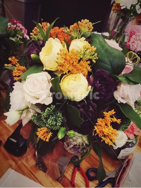 꽃,장미,선물,flower,사랑