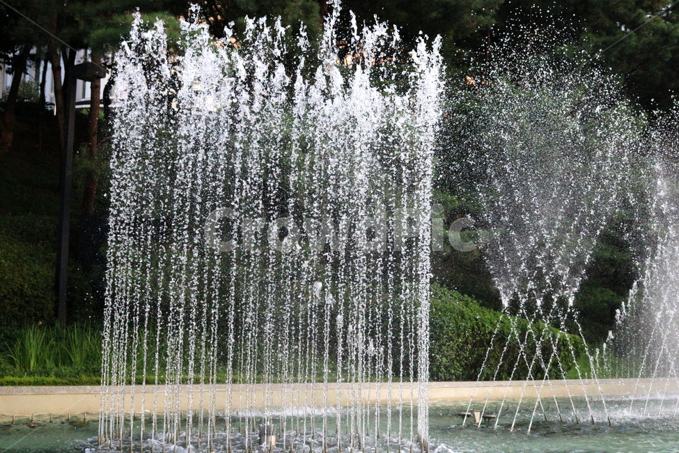 분수,분수대,물,공원,예술의전당,나무,소나무,자연,풍경,nature,landscape,water,fountain