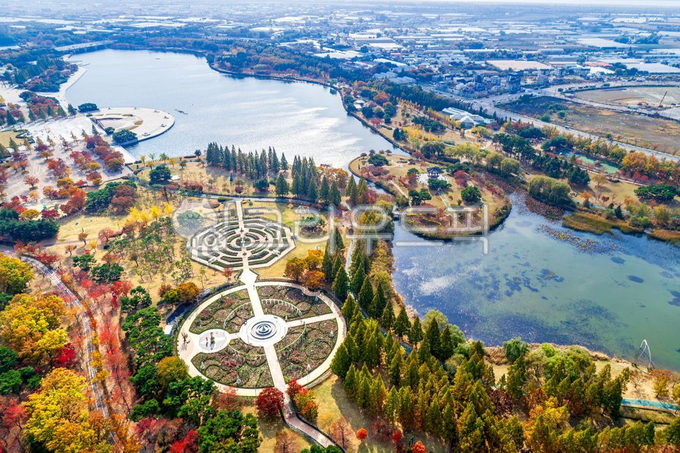 일산호수공원,호수공원,공원,정원,호수,물,도시,도시풍경,도심,가을,단풍,나무,야외,실외,고양시,고양,경기도,빌딩,건축물,항공촬영,하이앵글,산책로,전경,풍경