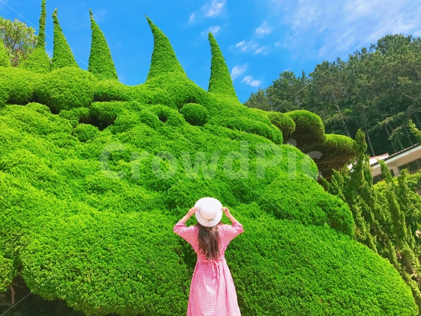 인물,사람,색감,분위기,하늘,자연,여행,외도,거제도,외도보타니아,국내여행,풍경,사진,힐링,데일리룩,패션,여행,휴가,traveling,vacation,trip,식물,자연,plants,nature,사람,인물,인간,human,person,여성,여자,woman,female,lady