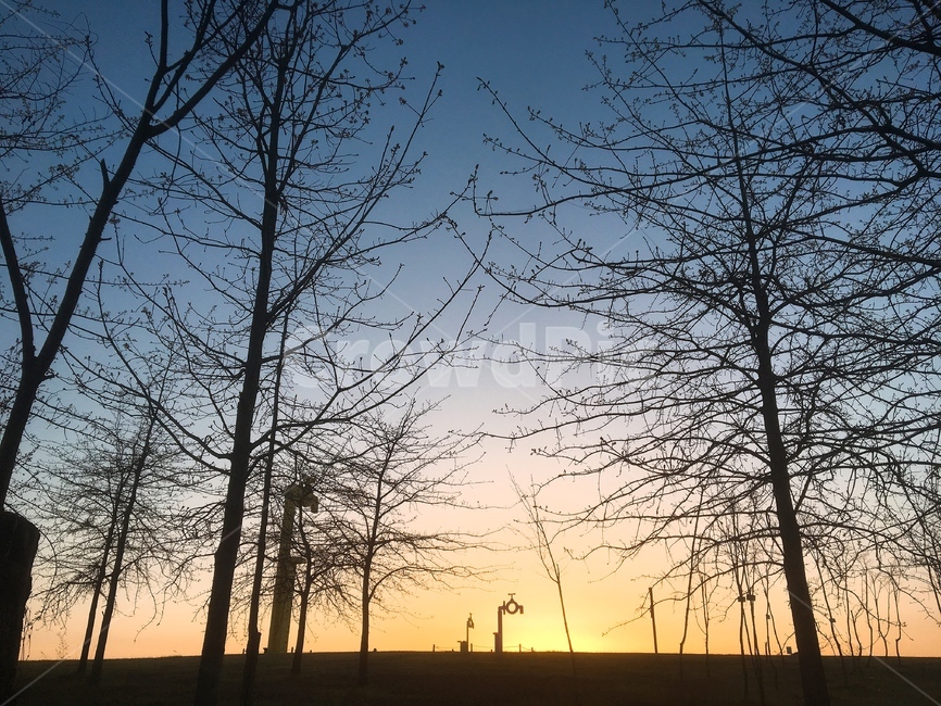 nature,자연,outdoors,sky,하늘,dusk,황혼,sunset,일몰,dawn,새벽,redsky,붉은하늘,노을,배경,풍경,파주,임진각평화누리공원,앙상한,외로운,길,고독한