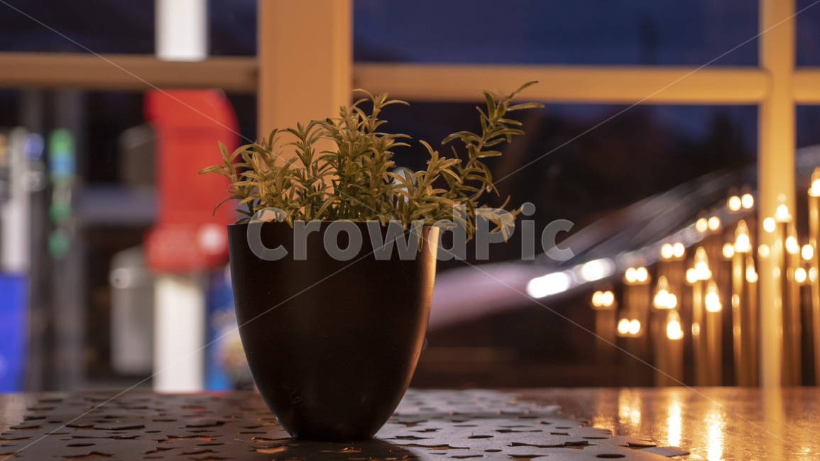 화분,촛불,테이블,식물,pot,plant,candle