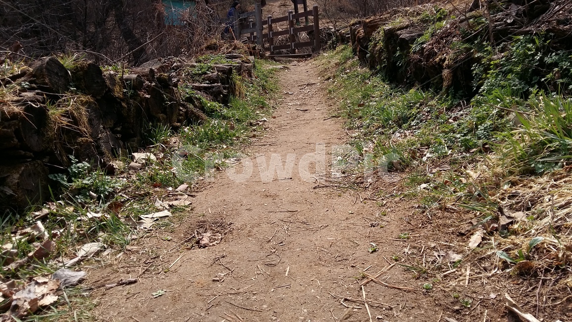 봄,봄길,산길,봄산,등산길,자연,풍경,nature,landscape,ground,바닥,dirt road,흙길,road,도로,gravel,자갈