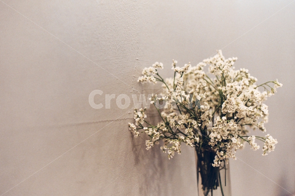 꽃,카페,흰꽃,꽃병,장식,안개꽃,홈카페,꽃장식,꽃,flower,실내용화초,화분,화초,house plant