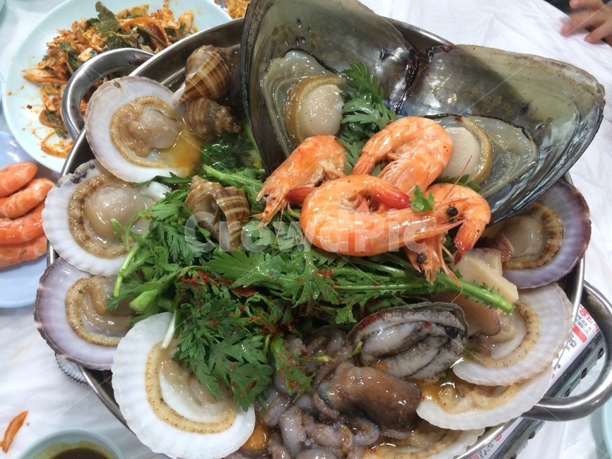 해물탕,새우,가리비,낙지,소라,회,음식,씨푸드,seafood,해산물