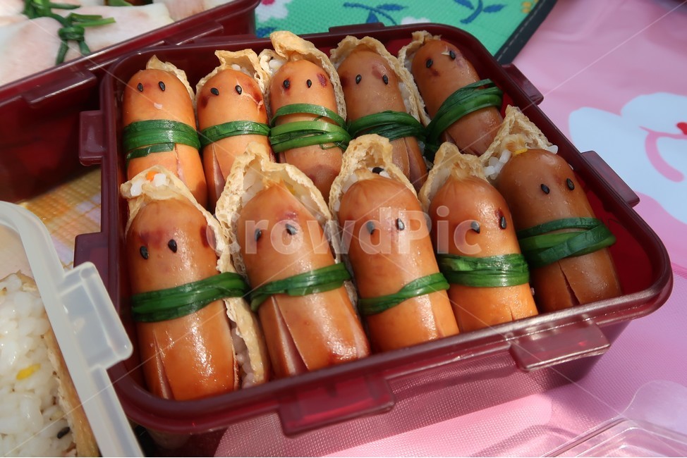 소세지,도시락,비엔나소세지,문어소세지,유부초밥,문어,음식,food,피크닉,소풍,소풍도시락,sausage,요리,귀여운,cute,음식,식재료,요리,food,cook,meal,dishes,food reserves
