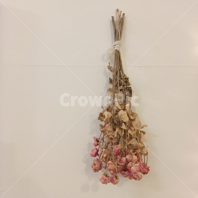 드라이플라워,말린꽃,장미,말린장미,프리저브드플라워,꽃,꽃다발,꽃,flower