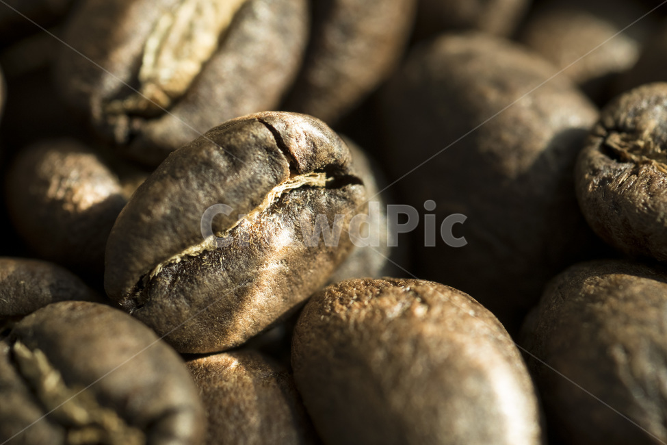커피,원두,원두커피,coffee,로스팅,roasting,핸드드립,드립커피,접사,홀빈,카페인,caffeine,에디오피아,산토스,예르가체프,과테말라,케냐,커피,카페,coffee,cafe
