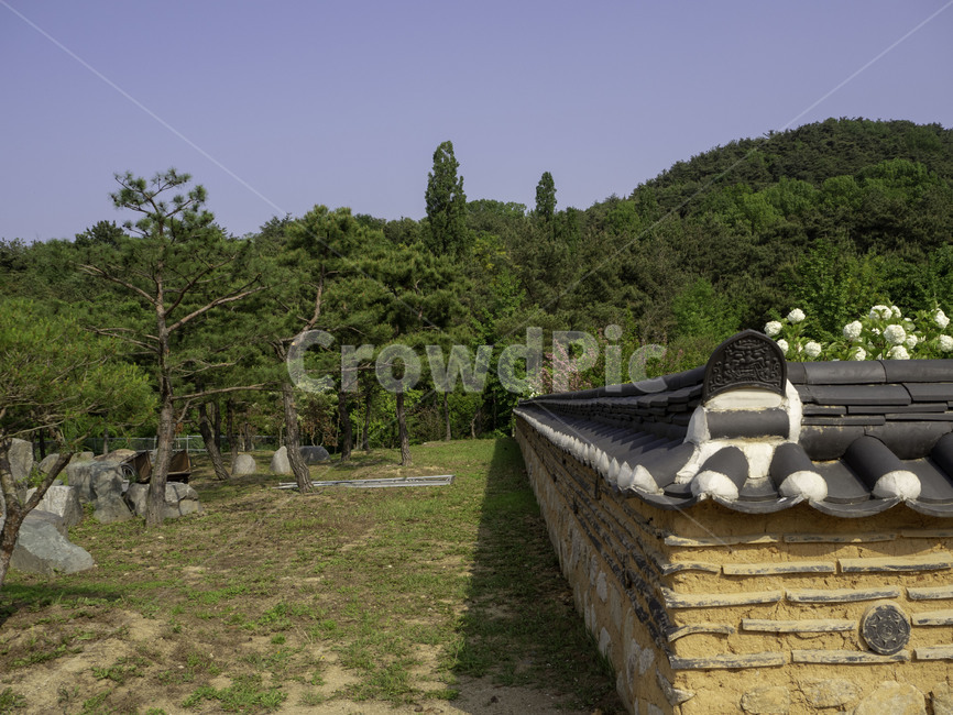 식물,plant,수목원,botanicalgarden,자연,nature,trees,한옥,koreantraditionalhouse,한국전통,한국문화,korean traditional,korean culture,건축물,건물외관,exterior,building,structure,architecture,construction