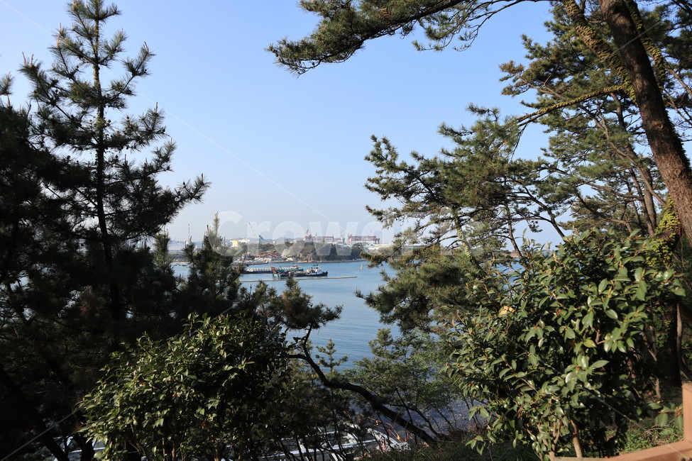 바다,자연,하늘,나무,시원한,배경,자연경관,풍경,nature,풀,landscape