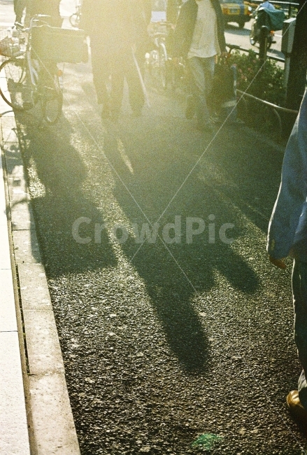 도쿄,가을,햇빛,필름카메라,보도,도시,풍경,city,landscape,사람,인물,인간,human,person,감성,sensible,feeling,asphalt,아스팔트