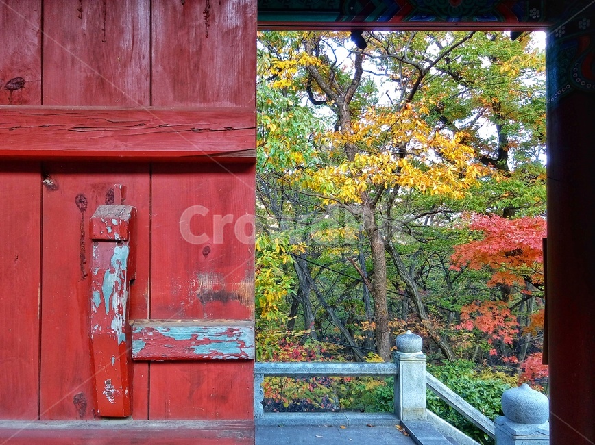 범어사,암자,사찰,단풍,문,가을,계절,fall,autumn,season
