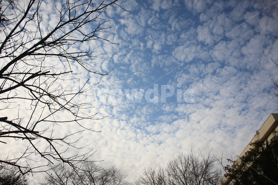 nature,자연,outdoors,옥외,하늘,구름,sky,cloud