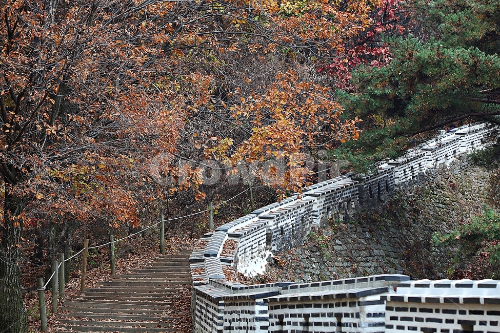 남한산성,성,성곽,단풍,낙엽,길,둘레길,숲,숲길,담,돌담,가을,자연,풍경,벽,울긋불긋,산성,식물,가을,계절,fall,autumn,season