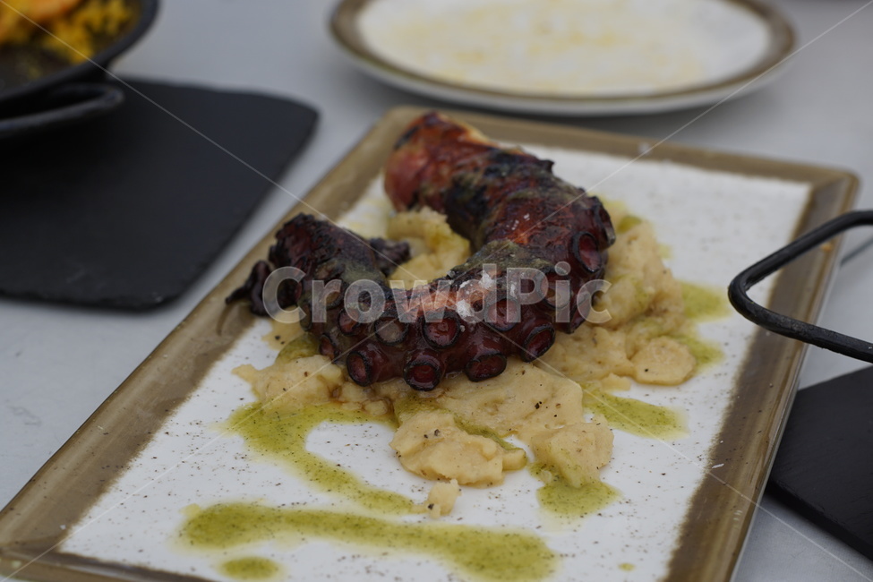 문어요리,문어구이,octopuscook,grilledoctopus,까만문어구이,음식,식재료,요리,food,cook,meal,dishes,food reserves
