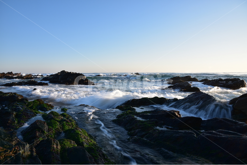 파도,물결,windwave,첨해파,해변,밀물,썰물,자연,풍경,nature,landscape,promontory,곶,plant,식물