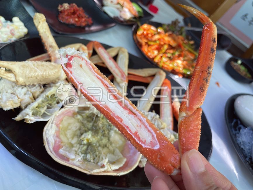 대게,해양생물,대게찜,게찜,게요리,대게요리,붉은대게,붉은홍게,홍게,찜요리,찜,food,음식,게,해산물,seafood,집게다리,대게다리,킹크랩다리,게다리,해물,크랩,킹크랩,갑각류