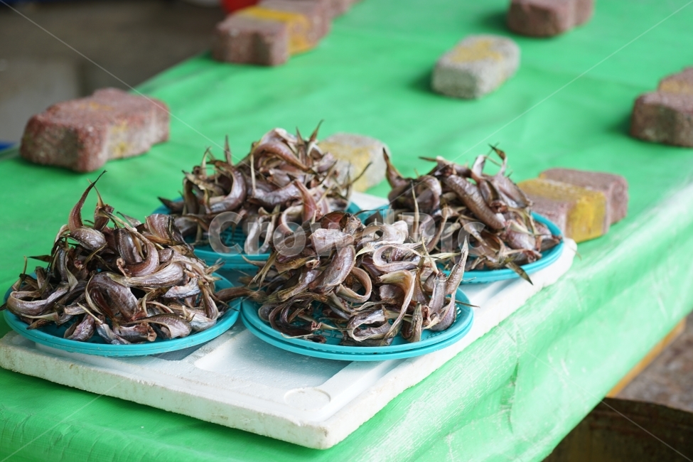 수산시장,생선,대게,홍게,시장,항구,생선회,음식,식재료,요리,food,cook,meal,dishes,food reserves,수산물,해산물,fishery products,seafood