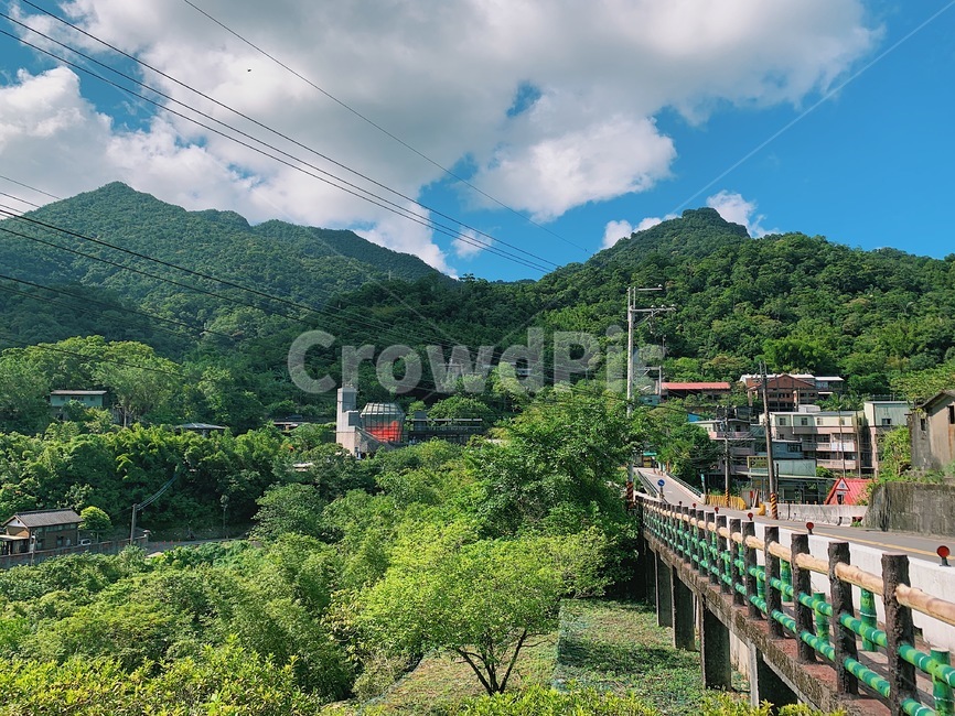 nature,자연,outdoors,여름,푸르른
