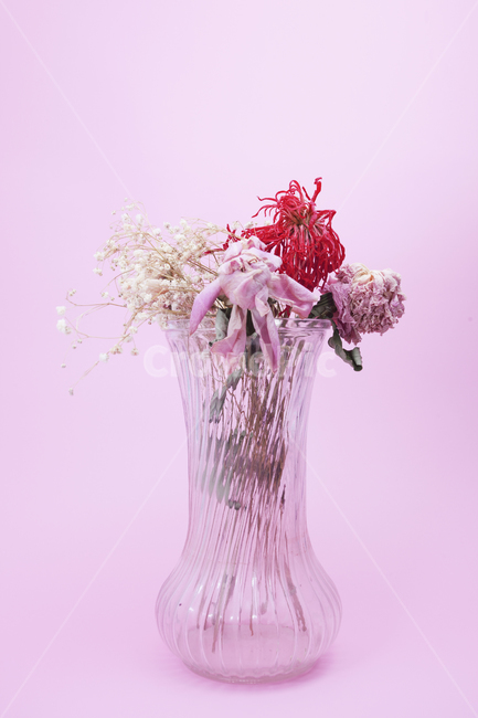 jar,항아리,vase,꽃꽂이,blossom,장식,식물,plant,flower,꽃