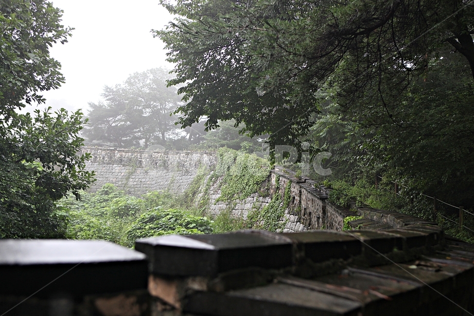 남한산성,성,성곽,숲,숲길,안개,돌,돌담,길,둘레길