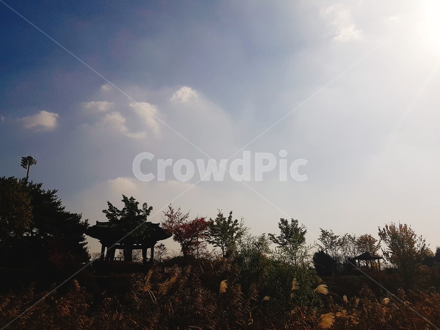 outdoors,옥외,nature,자연,정자,풍경,배경화면,하늘,가을,계절,fall,autumn,season,식물,자연,plants,nature