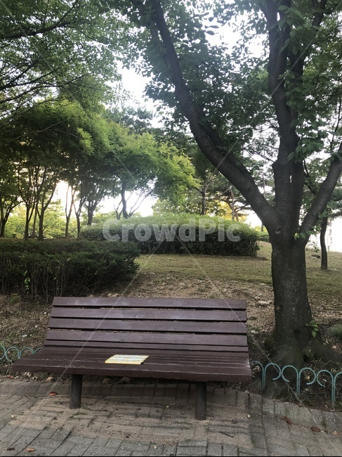 공원,벤치,나무,앉을곳,휴식,의자,나무의자,산책