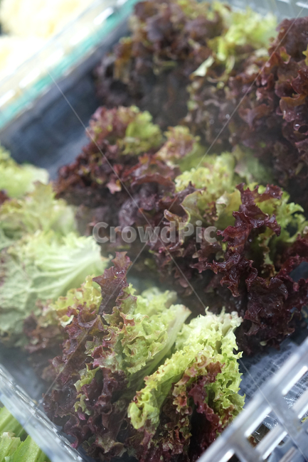 vegetables,야채,채소,신선한,유기농,식품,건강,상추,자연,채식,채식주의자,녹색,마트,시장,음식,식재료,요리,food,cook,meal,dishes,food reserves,채소,야채,vegetables
