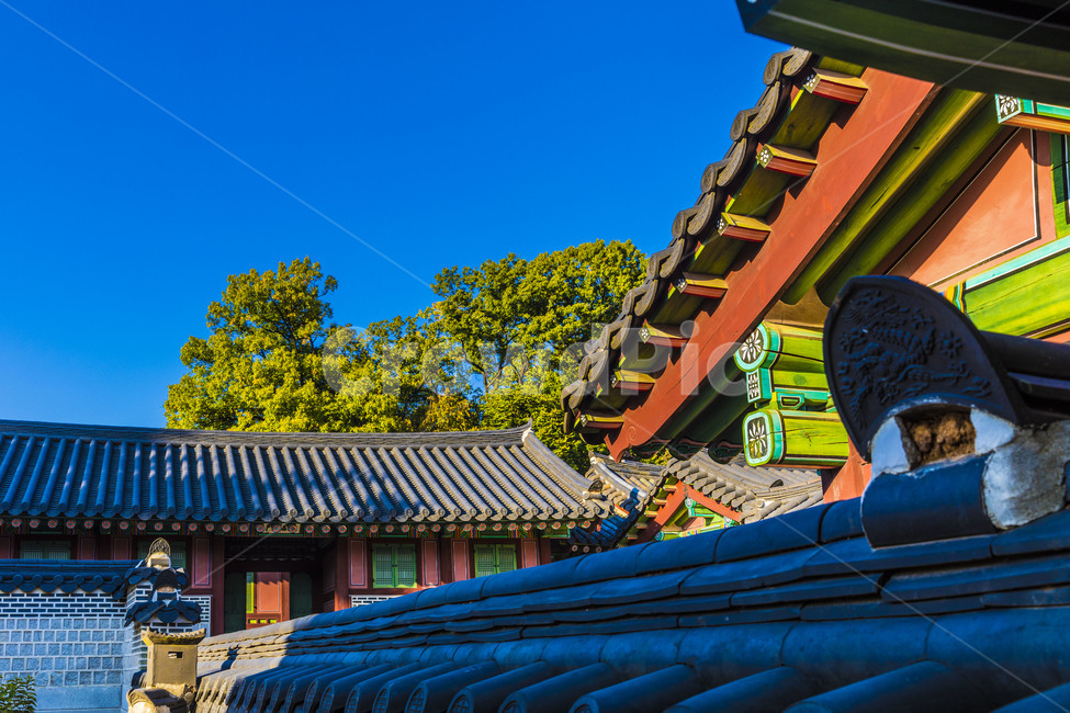 고궁,창덕궁,지붕,기와,문화유산,전통가옥,문화재,기와담장,한국전통,한국문화,korean traditional,korean culture,건축물,건물외관,exterior,building,structure,architecture,construction