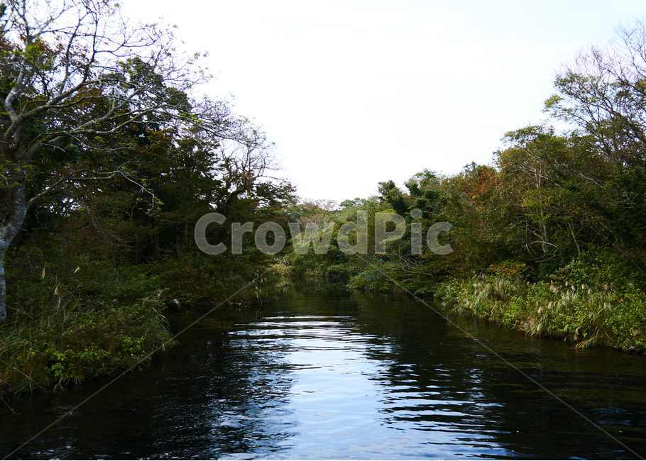 풀,호수,구름,나무,파장,자연,풍경,nature,landscape,water,물,outdoors,옥외