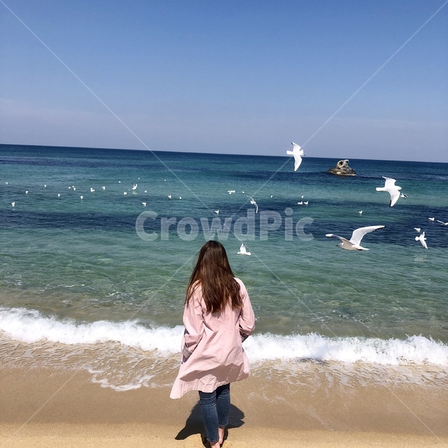 바다,뒷모습,인물실루엣,사람실루엣,파도,가을,사람,person,여성,여자,풍경,배경,핑크,love,rest,healing,flower,female,woman,lady,패션,트렌치코트,ocean,sea,해안선,shoreline,bird,자연,trip,인물,필름사진,사람,인물,인간,human,person,여성,여자,woman,female,lady
