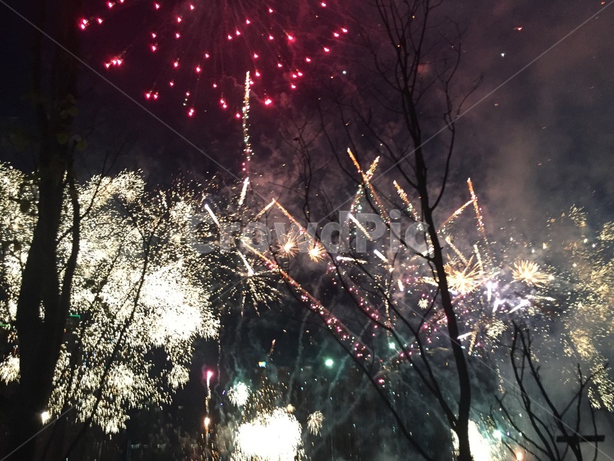 Incheon,festival,finale,night,fireworks,Songdo,shadows,dawn,fireworks festival,emotional photo,Fireworks,lights