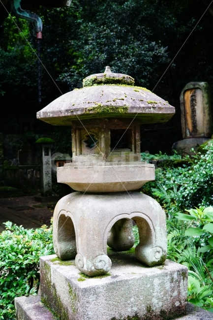 일본,일본여행,외국,외국여행,해외,해외여행,여행,교토,쿄토,kyoto,지온인,치온인,지은원,일본문화,문화,일본문화재,문화재,역사,일본유적,일본유적지,유적,유적지,유네스코세계문화유산,japan,아시아,asia,동양,일본식한옥,일본식가옥,일본식건축,일본역사,나무,공원,tree,자연,풍경,불교,절,사찰,종교,석등,등,신앙,감성,감성사진,힐링,힐링사진,history,히스토리,조각상,동상,석상,조형물,statue,bronze statue,stone statue,해외,외국,세계,foreign,oversea,world,종교,신앙,religion,belief,faith