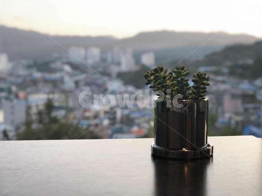 화분,고독,노을,생각,여유로움,감성