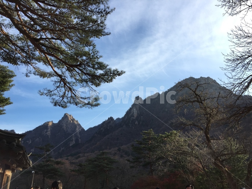 설악산,산,풍경,나무,하늘,nature,자연