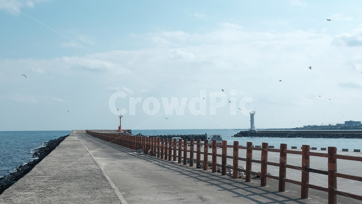 제주도,월정항,바다,등대,하늘,sea,sky,갈매기,lighthouse,자연,풍경,nature,landscape,water,물